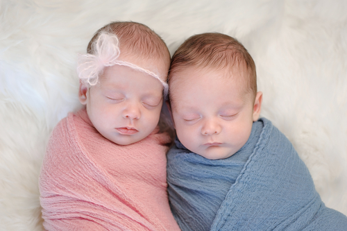 一卵性双生児と二卵性双生児
