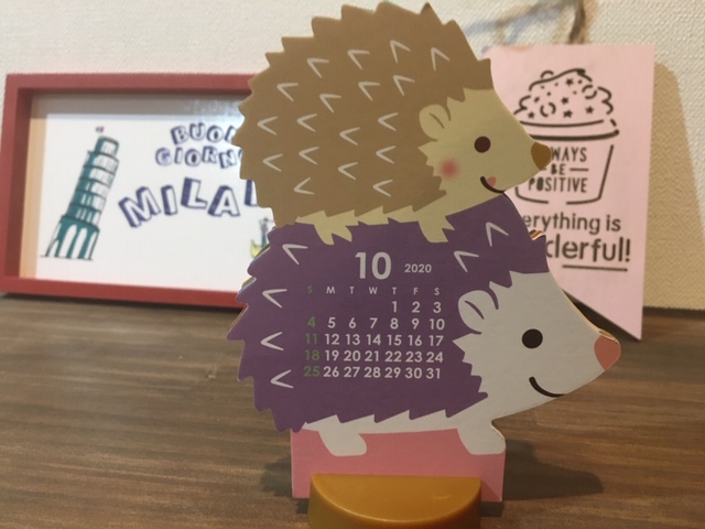 ダイソー 愛くるしいハリネズミのカレンダー 見掛けにだまされて触った結果ｗｗ Babydot ベイビードット