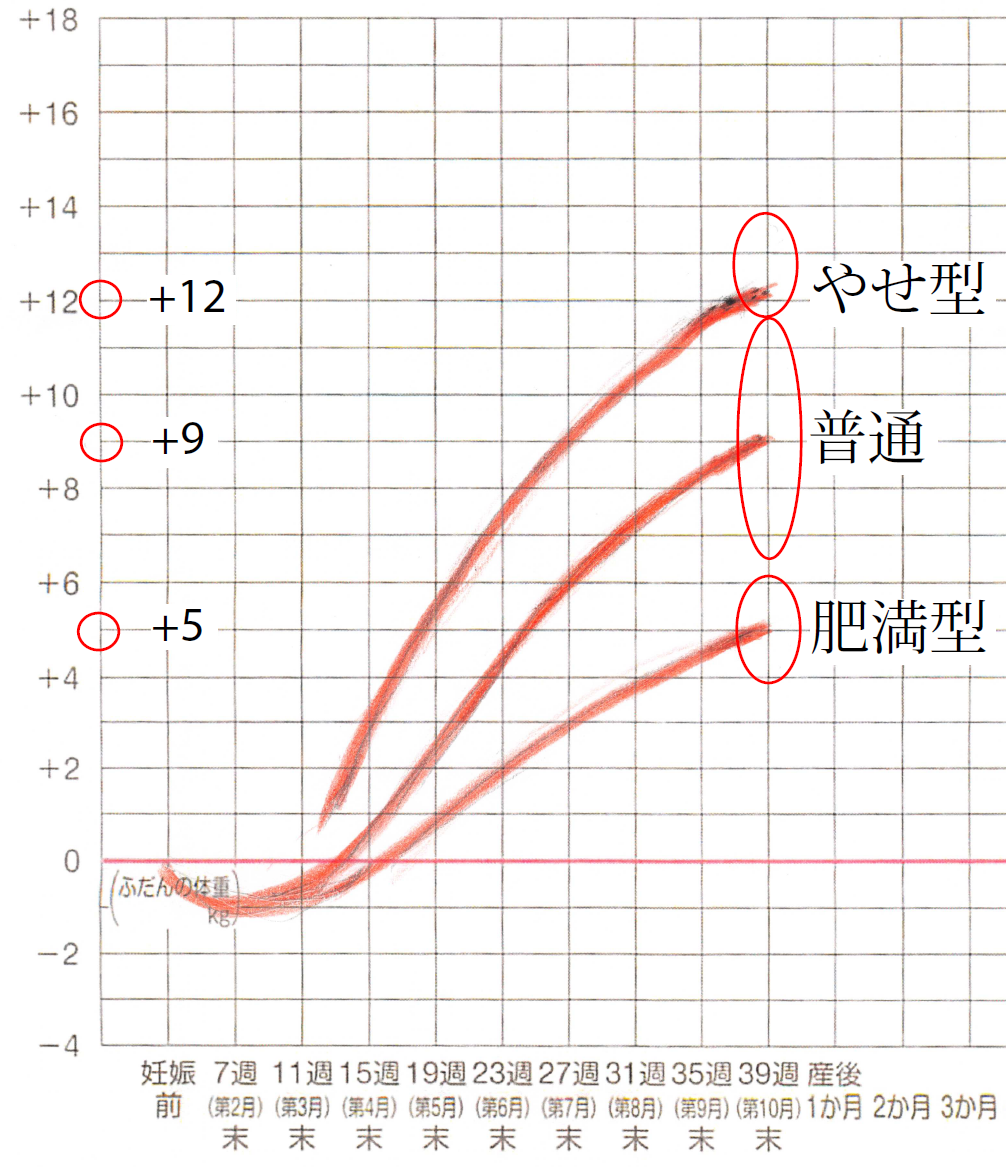 妊娠途中経過は、次のグラフを参考にしてください。