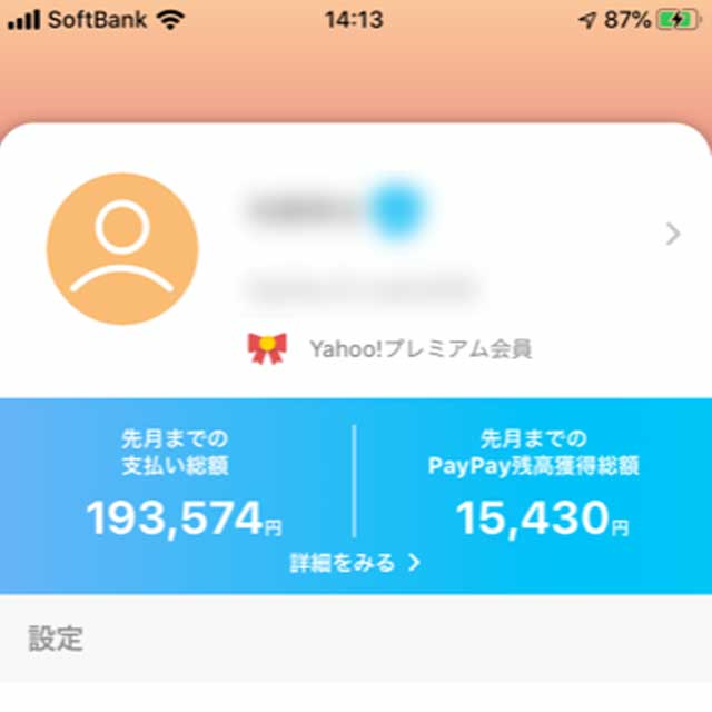 【マネー】PayPayってどのくらいお得なの？8ヶ月使ってみた結果を発表！【