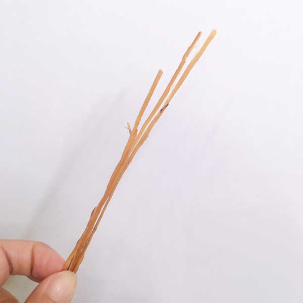 好きすぎて同僚にもおすすめしちゃう