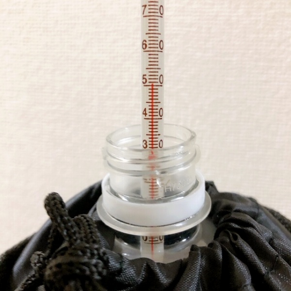 その実力は？