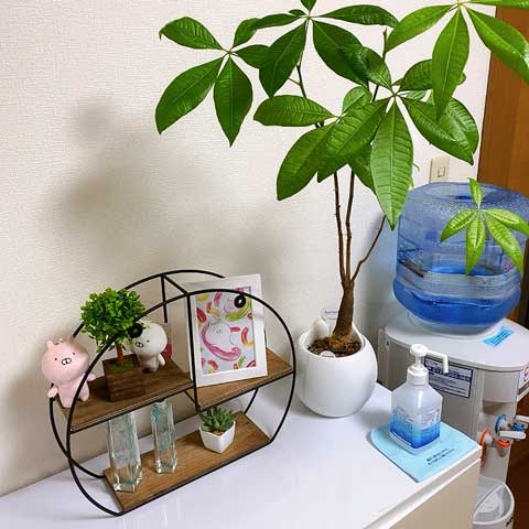 ひとつ大好きな飾りが増えるだけでも楽しくなってきますよ～。