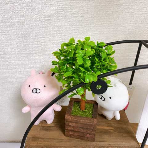 「うさまるとうさこ、公園で遊ぶ。」をテーマにしてみました♪