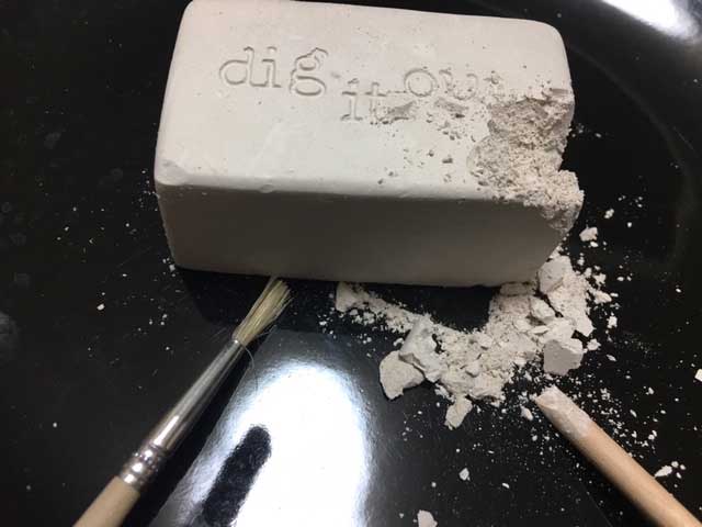 あまり発掘作業が得意でないのバレバレですね。。。