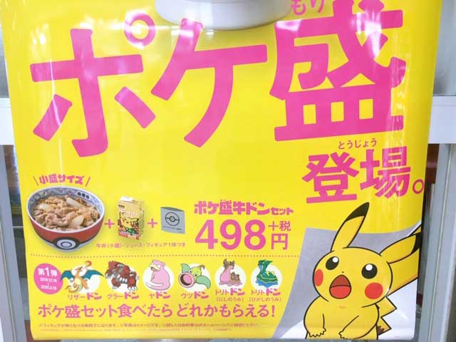 ポケモン♪ゲットだぜ！ポケモントレーナーじゃないけど○○ドンつかまえてみた♡ 