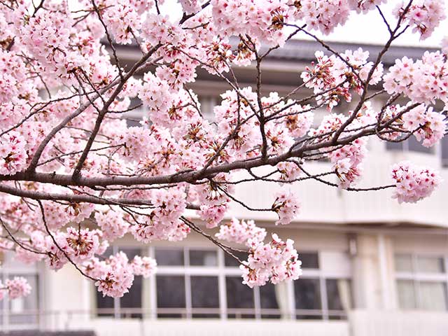 1つ持っていると絶対便利♡携帯スリッパはママの必需品♪