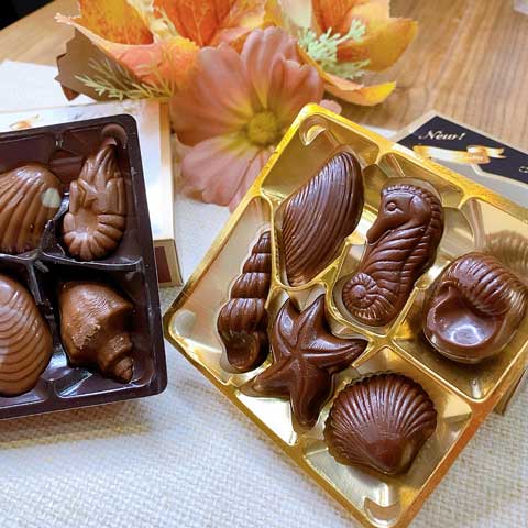 ひと箱100円 税別 には見えない 高見え感 が義理チョコ用にちょうどイイかも Babydot ベイビードット