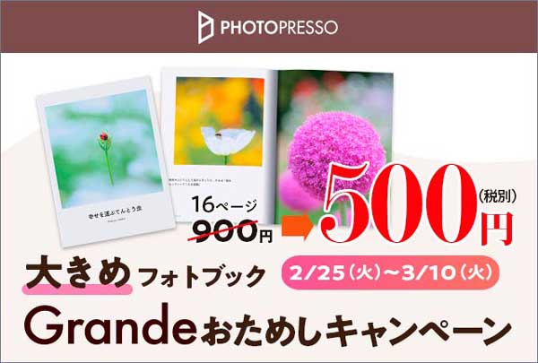 キャンペーン内容は？ 