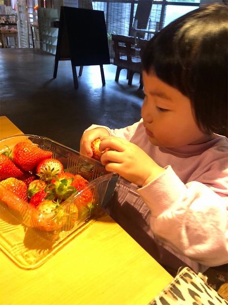子供たちは待ちきれずに  自分で摘んだ苺をパクリ！