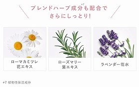 ブレンドハーブ成分