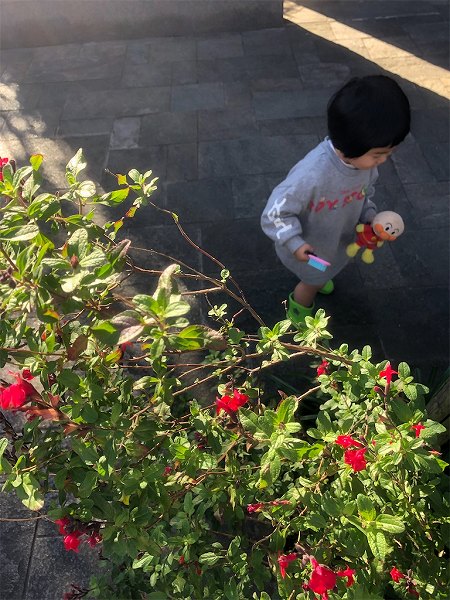 【スザンヌの妹マーガリンの子育てin熊本】三連休初日☺️幸せなのんびりした朝と大好きなおばあちゃんちへ