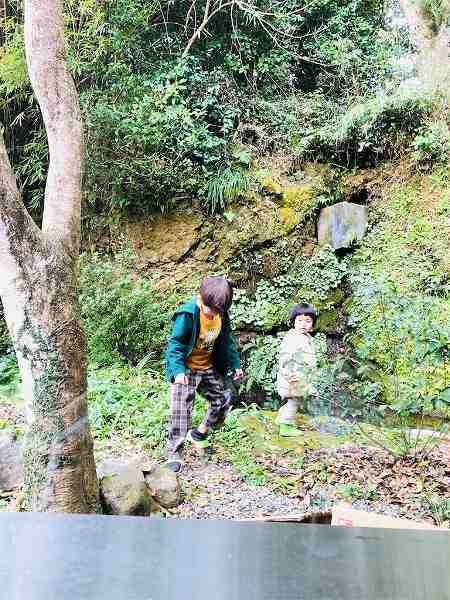 【スザンヌの妹マーガリンの子育てin熊本】三連休最終日！チビ二人とお留守番の日🎵ジョイフルからの懐水集🎵お昼寝を忘れるほど遊びまわった一日！