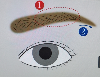 How to get your dream eyebrow