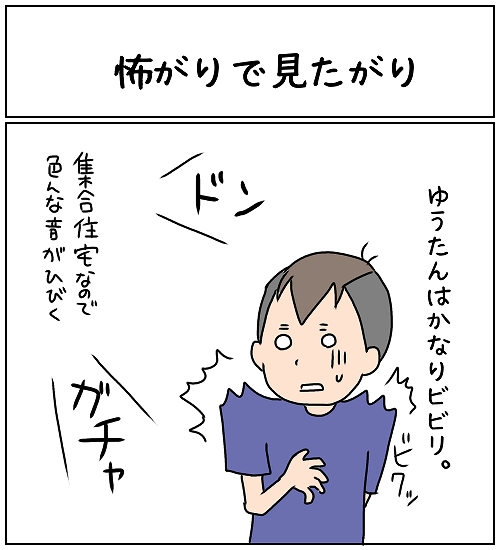 怖がりで見たがり