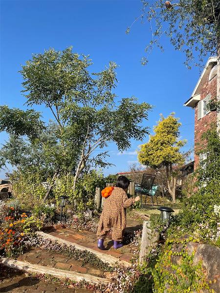 【スザンヌの妹マーガリンの子育てブログ】熊本の絶景カフェ♡黄金に輝く海をみながら☺️オーナーさんは元◯◯！！♡