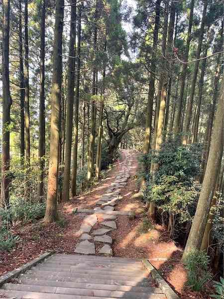 【スザンヌの妹マーガリンの子育てブログ】日本一の石段に挑戦!!3333段をのぼったら。。