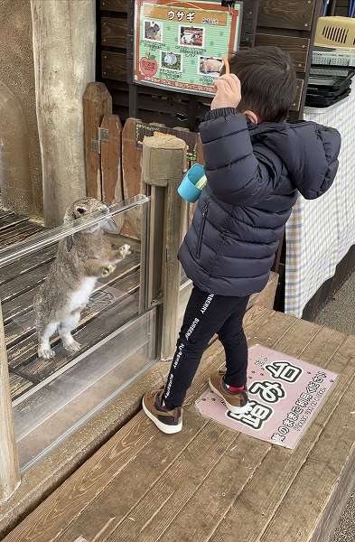 秋吉台自然動物公園 サファリランドに行ってきました🐘🌈