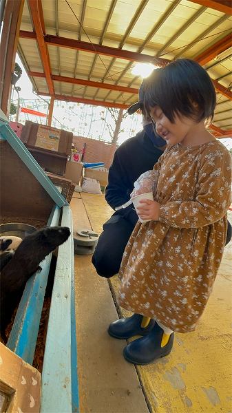 【スザンヌの妹マーガリンの子育てブログ】アトラクション数日本一の遊園地が熊本に！？いってみたら天国だった♡