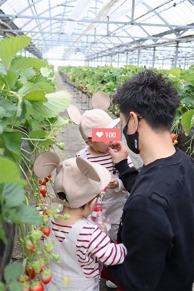 ボーダーリンクコーデ♡毎年恒例のいちご狩り🍓【人気インスタグラマー@ask_____10ブログ】