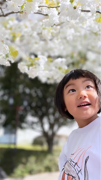 【スザンヌの妹マーガリンの子育てブログ】桜満開〜♡大人気なmiteの親子リンクコーデで桜をみてきたよ♡