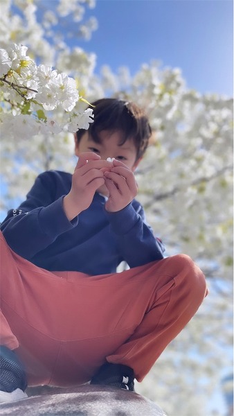 【スザンヌの妹マーガリンの子育てブログ】桜満開〜♡大人気なmiteの親子リンクコーデで桜をみてきたよ♡