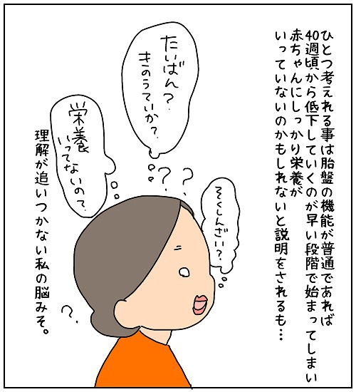 【ナガタさんちの子育て奮闘記～育児マンガ～】「胎盤機能の低下！？」