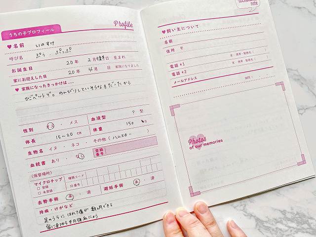 基本的なペットのプロフィールや出会いの場などを記入するページ。