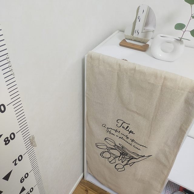 カラーボックスにピッタリ！