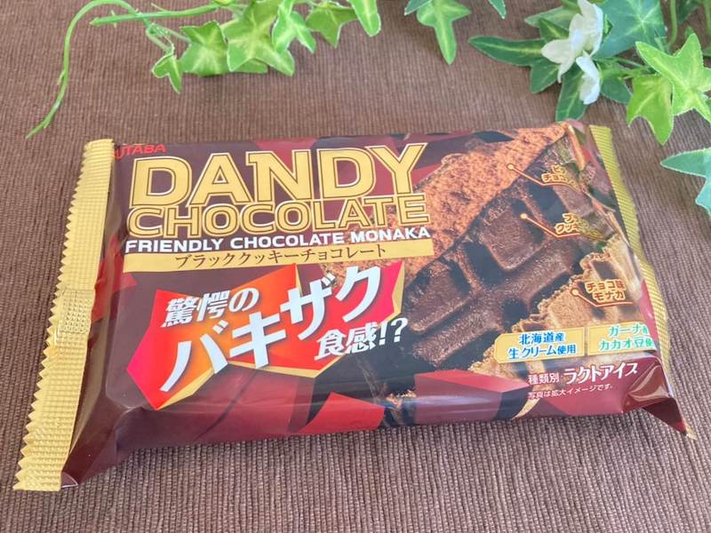フタバダンディーチョコレート