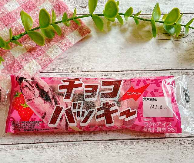チョコバッキ―スカイベリー