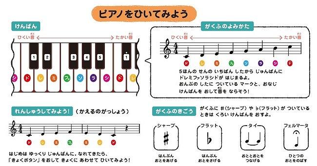 楽譜の読み方もわかりやすく解説