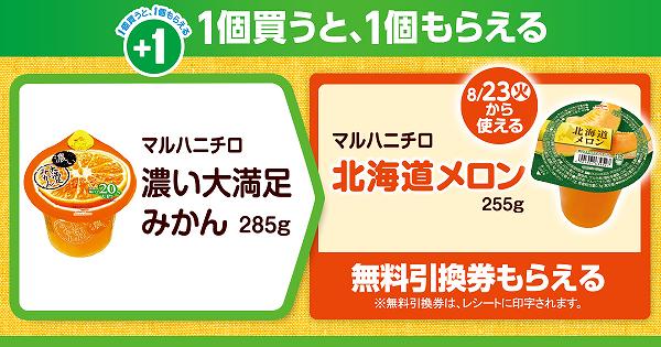 マルハニチロ 濃い大満足みかん 285g