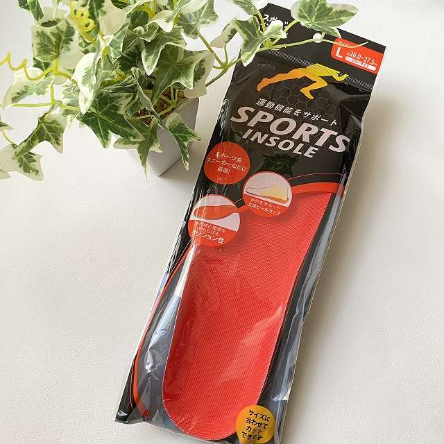 SPORTS INSOLE