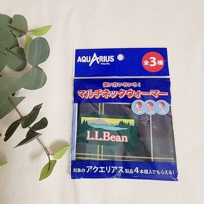 L.L.Beanコラボ