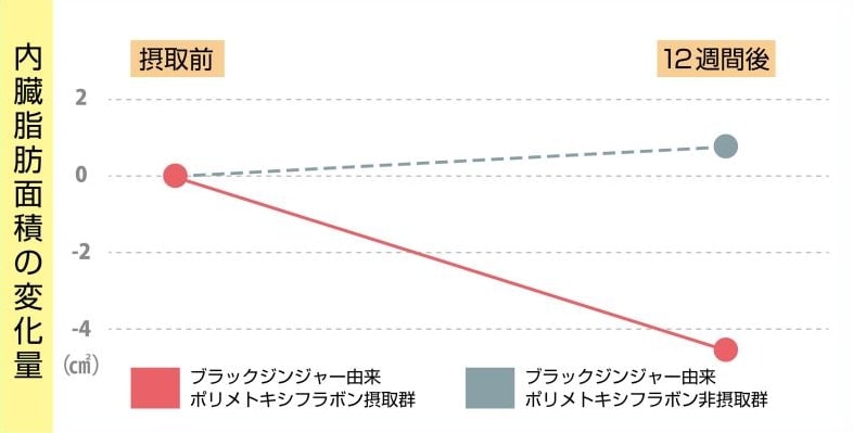 内臓脂肪面積の変化