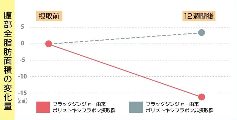 腹部全脂肪面積