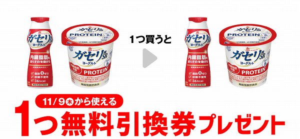 ガセリ菌ＳＰ株ＹＧ ドリンクタイプ 100g／ガセリ菌ＳＰ株ＹＧ PROTEIN 100g