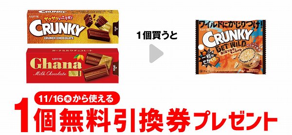 ロッテ クランキースリムパック／ガーナスリムパック
