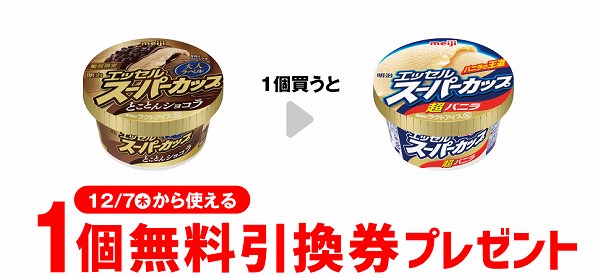 明治 エッセル スーパーカップ 大人ラベル とことんショコラ