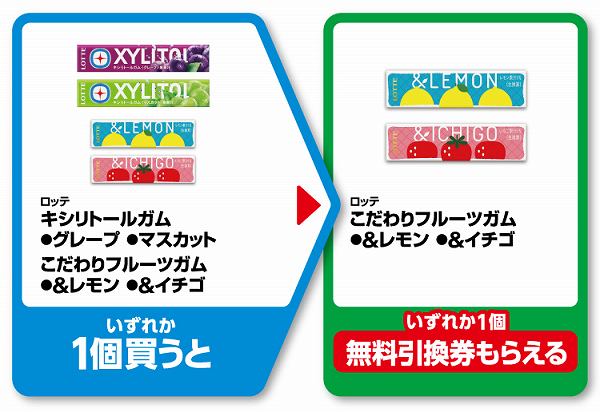 ロッテ　対象のキシリトールガム／こだわりフルーツガム