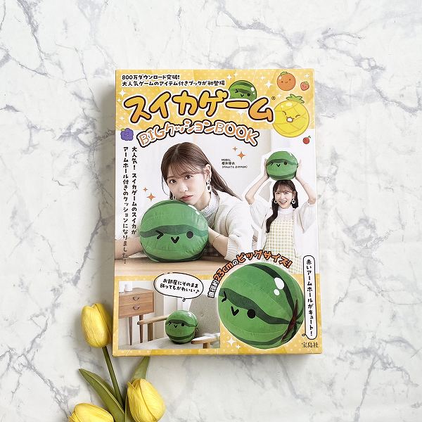 『スイカゲーム BIGクッションBOOK』