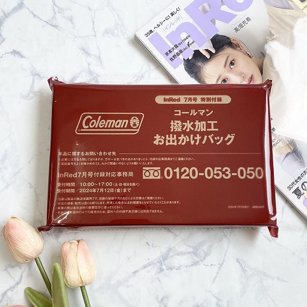 特別付録