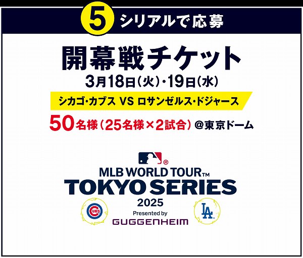 5シリアルで応募