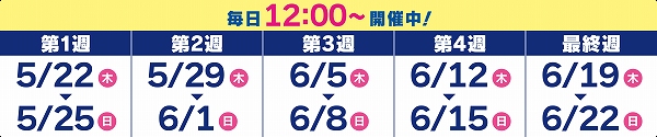 実施期間