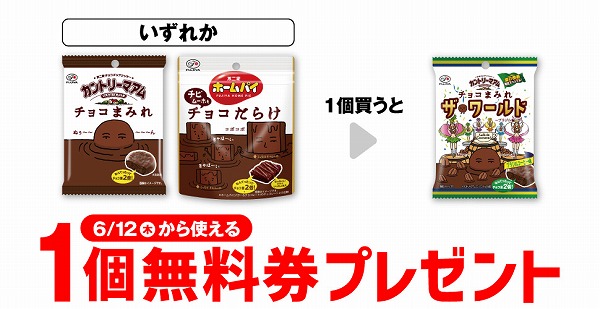 不二家 カントリーマアム チョコまみれ 48g/ホームパイチビムーホもチョコだらけパウチ