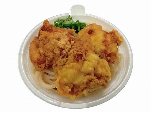 おだしの旨み 3個盛り鶏天うどん