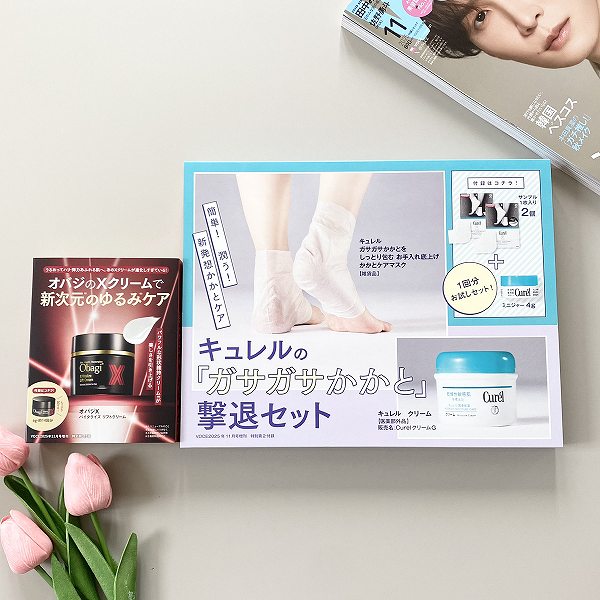 特別付録
