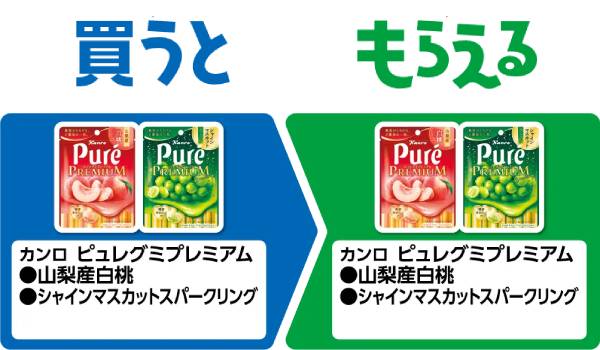 カンロ ピュレグミプレミアム 山梨産白桃/シャインマスカットスパークリング
