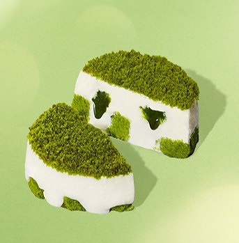 濃厚抹茶ティラミス